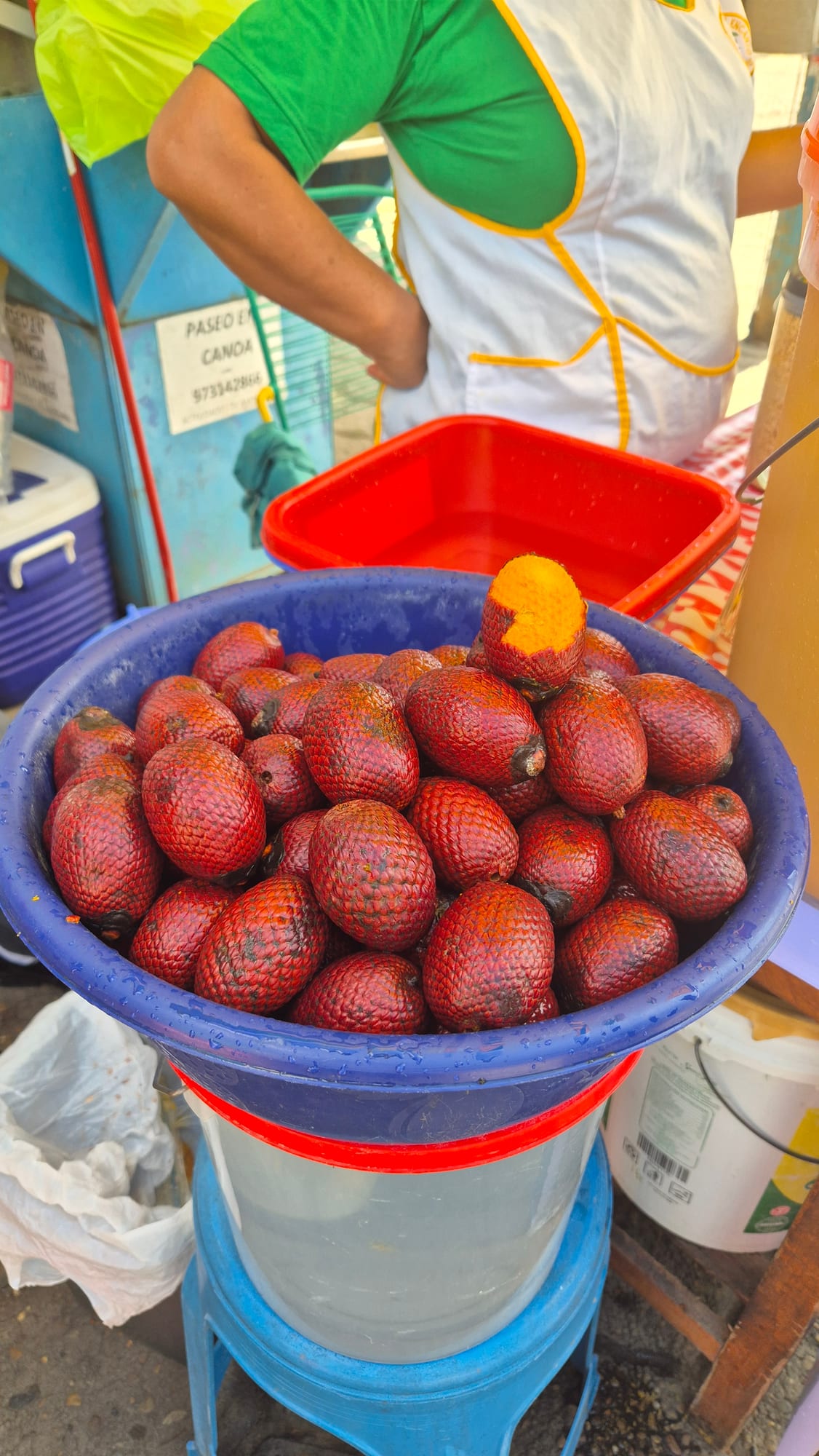 A bucket of aguaje fruit at the Puerto Maldonado market