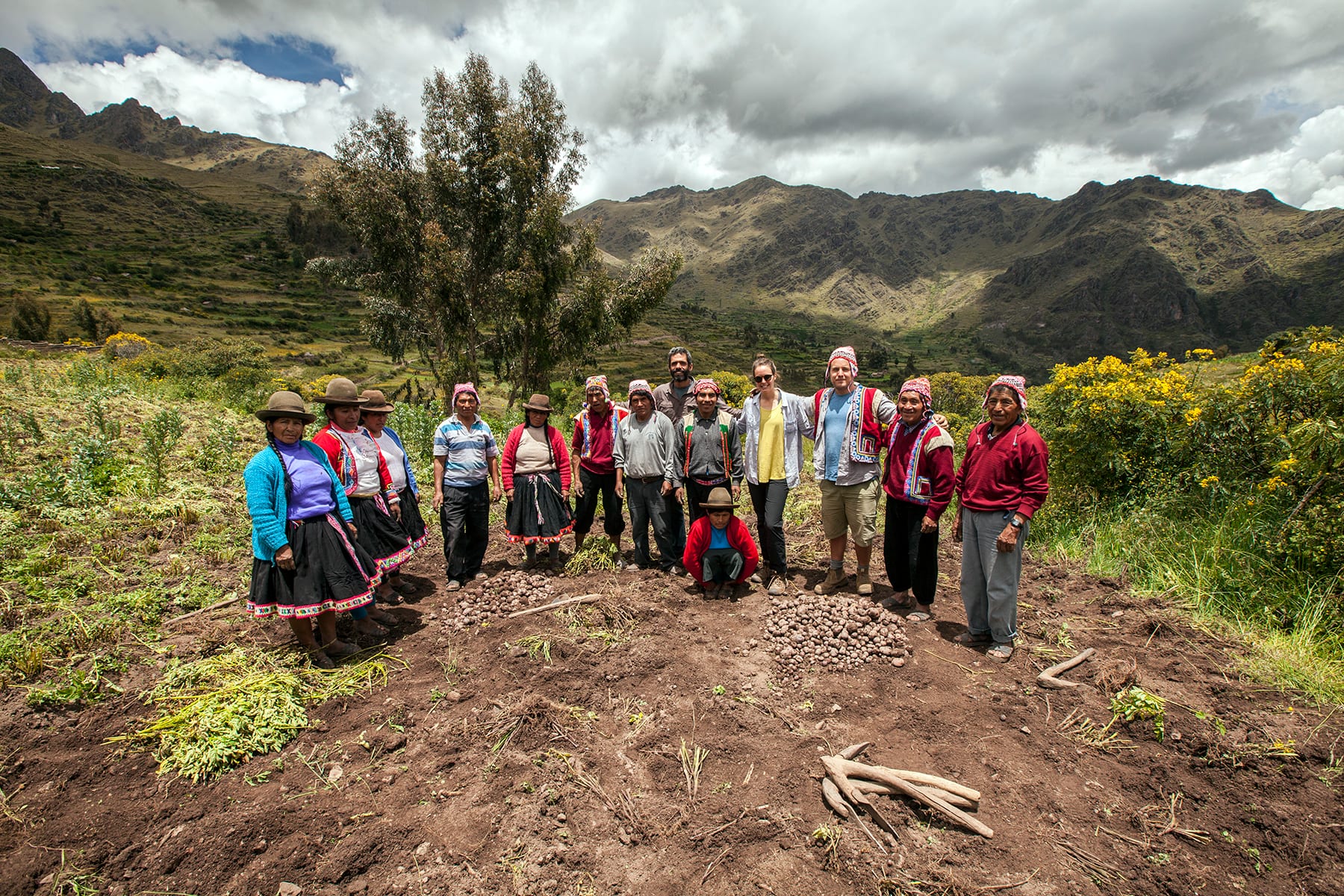 Farmers of the Lamay community in their potato field