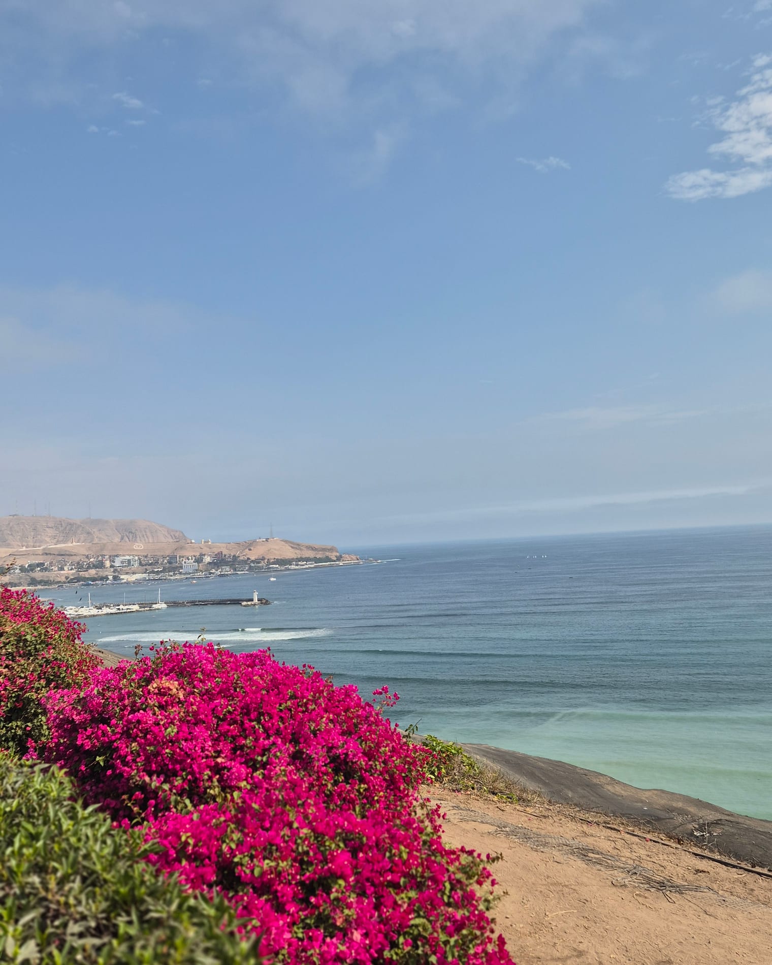 Bougainvillea over the Pacific from the Barranco clifftop